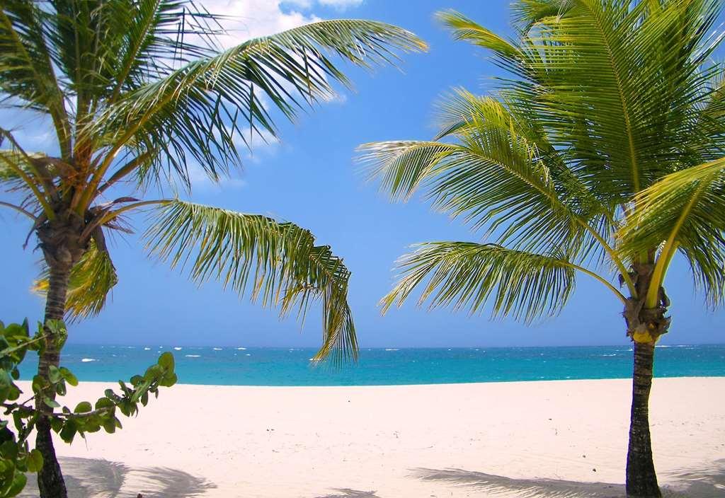Viva Heavens By Wyndham, A Trademark All Inclusive (Adults Only) Пуэрто-Плата Природа фото